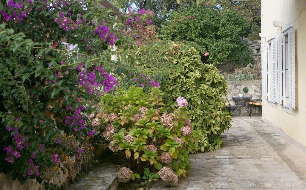 Villa Bona Ντουμπρόβνικ Εξωτερικό φωτογραφία