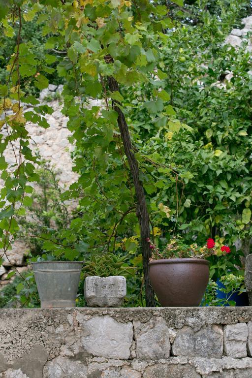 Villa Bona Ντουμπρόβνικ Εξωτερικό φωτογραφία